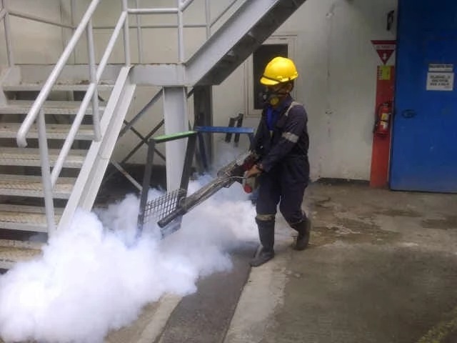Perbedaan Metode Basmi Rayap: Chemical vs Baiting System